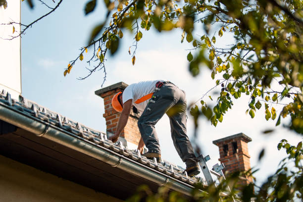 Best Affordable Roofing Company  in Fisher, IL