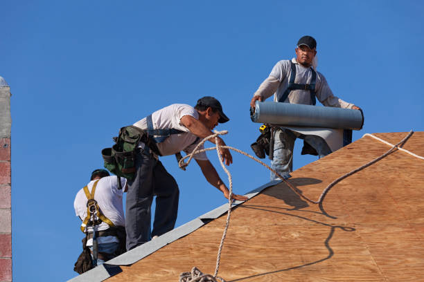 Best Commercial Roofing Services  in Fisher, IL