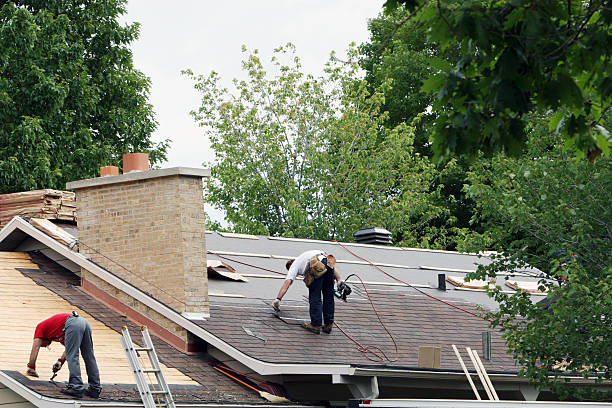 Best Metal Roofing Contractor  in Fisher, IL