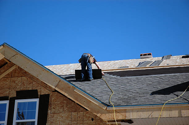 Best Local Roofing Companies  in Fisher, IL