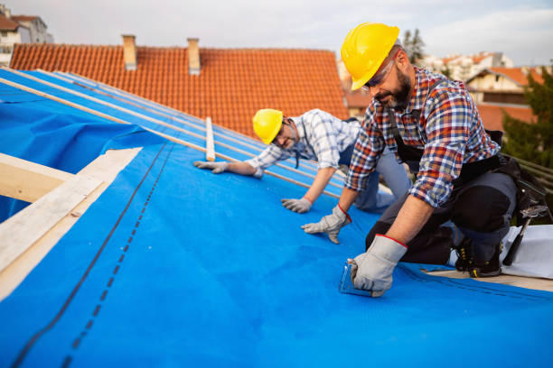 Best Roof Leak Repair  in Fisher, IL