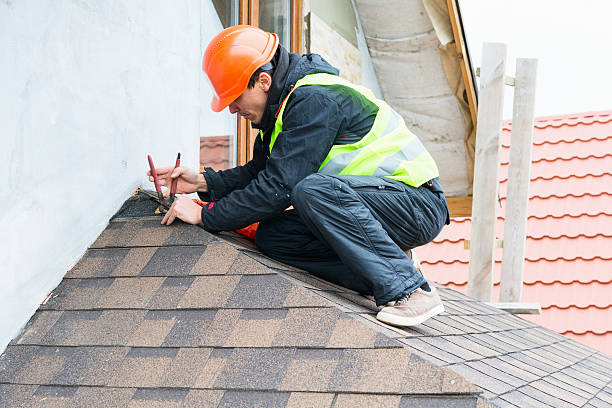 Best Local Roofing Companies  in Fisher, IL