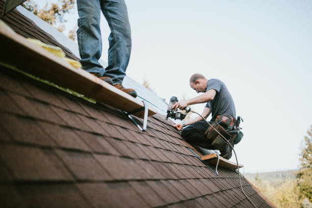 Best Emergency Roof Repair  in Fisher, IL